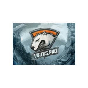 Autographed Virtus.Pro HUD Skin