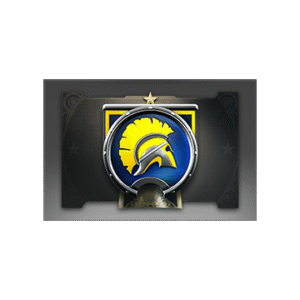 Autographed Team Pennant: NaVi