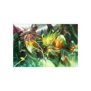 Bark of the Ageless Witness